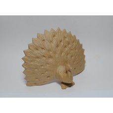  Peacock  Blank Model